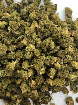 KLR Hemp Smalls
